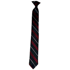 LITTLE Boy’s clip on tie. Quick and easy dress up for any occasion